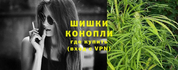 соль ск Белокуриха