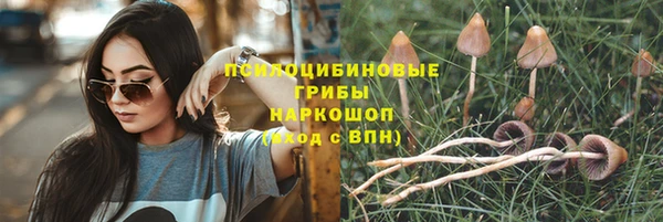 соль ск Белокуриха