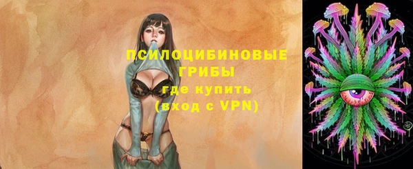 ГАЛЛЮЦИНОГЕННЫЕ ГРИБЫ Елизово